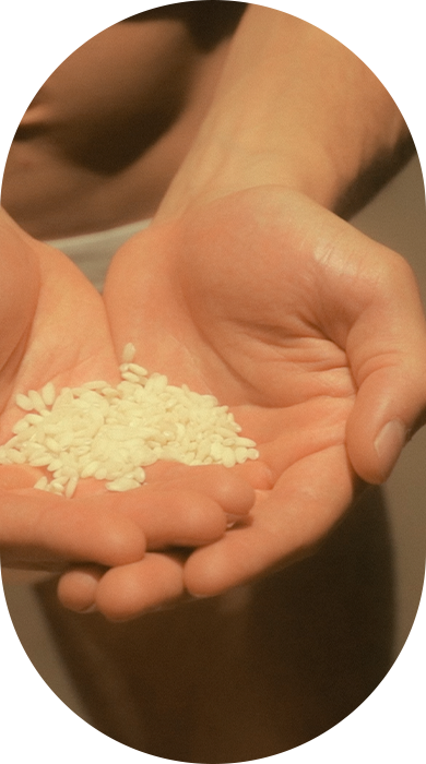 Rice & Shine, productos naturales que cuidan tu piel. El aceite del germen de arroz tiene la mayor carga de vitamina E del mercado.